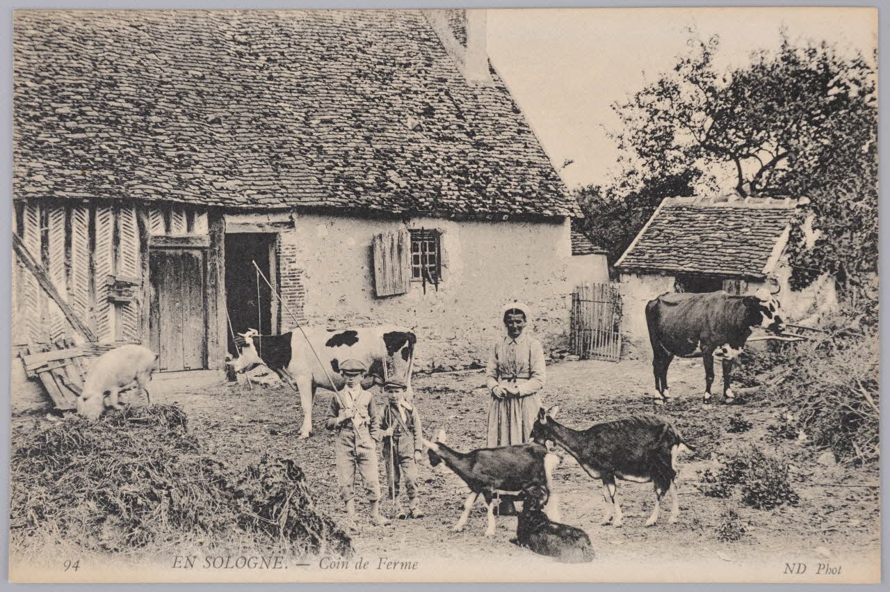 Album 36 Sou.B.474 Photo