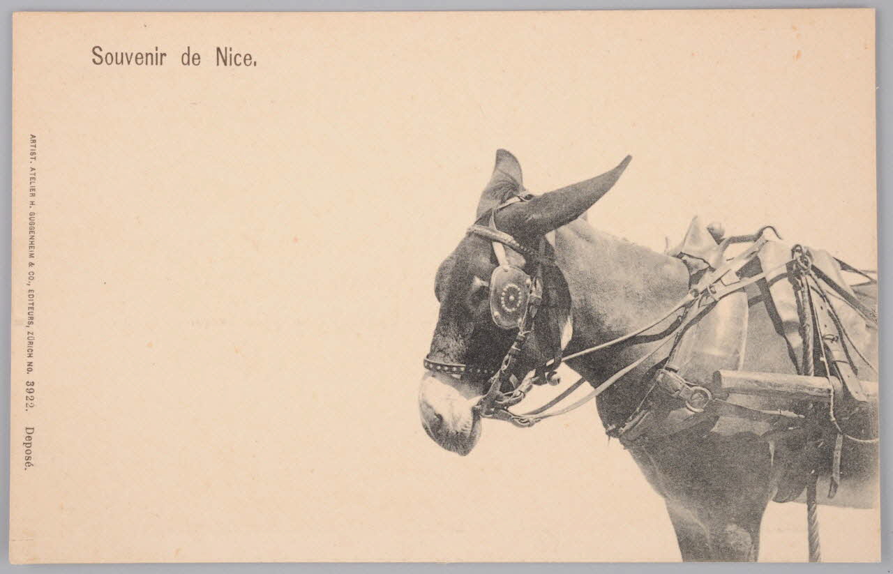 Album 36 Sou.B.550 Photo