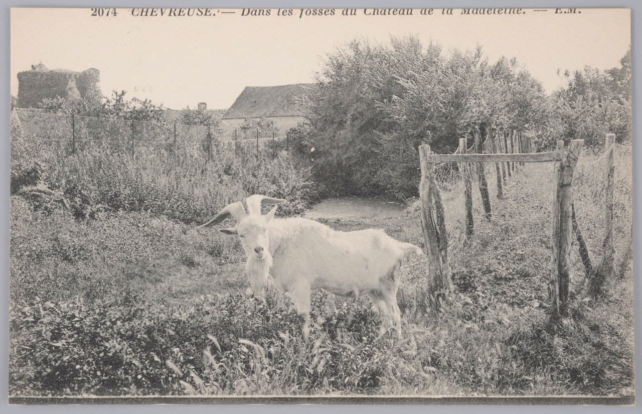 Album 36 Sou.B.557 Photo