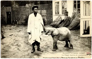 Anonyme Nogent. Jardin colonial. Juin 1905. Le nègre Samba et Lambarèné. Né sur les rives de l'Oogoué, élevé au biberon par les sujets du roi Makoko Val-de-Marne 1905/6/1-1905/6/30 Sou.B.57 Photo