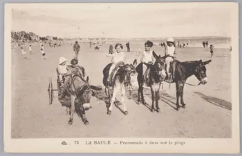 Album 36 Sou.B.582 Photo