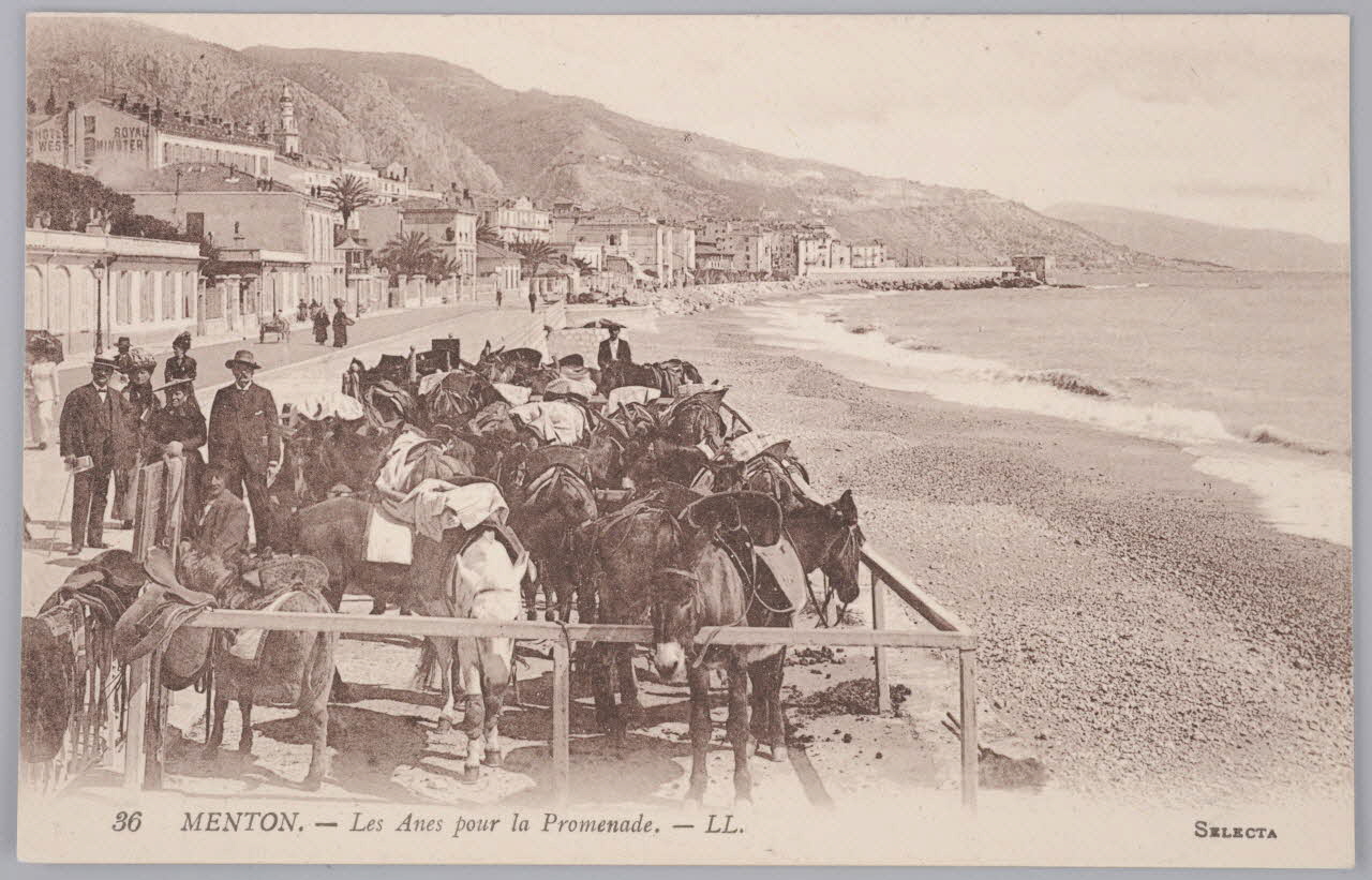 Album 36 Sou.B.584 Photo