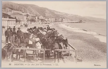 Album 36 Sou.B.584  Photo