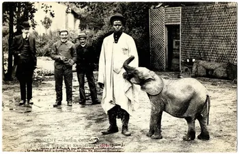 Anonyme Nogent. Jardin colonial. Juin 1905. Le nègre Samba et Lambarèné vendu à F. Bostock par M. Clémentel ministre des colonies. Cet éléphant périt à Coney Island en mai 1911 dans un incendie Val-de-Marne 1905/6/1-1905/6/30 Sou.B.59 Photo