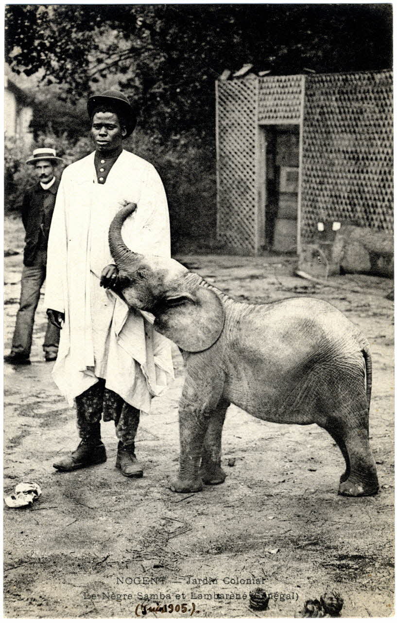 Anonyme Nogent. Jardin colonial. Juin 1905. Le nègre Samba et Lambarèné (Sénégal) Val-de-Marne 1905/6/1-1905/6/30 Sou.B.60 Photo