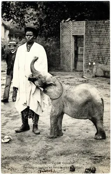 Anonyme Nogent. Jardin colonial. Juin 1905. Le nègre Samba et Lambarèné (Sénégal) Val-de-Marne 1905/6/1-1905/6/30 Sou.B.60 Photo