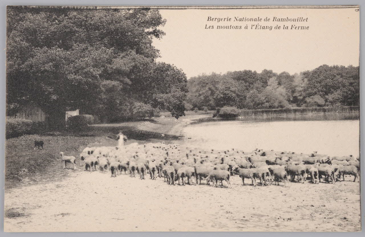 Album 36 Sou.B.604 Photo