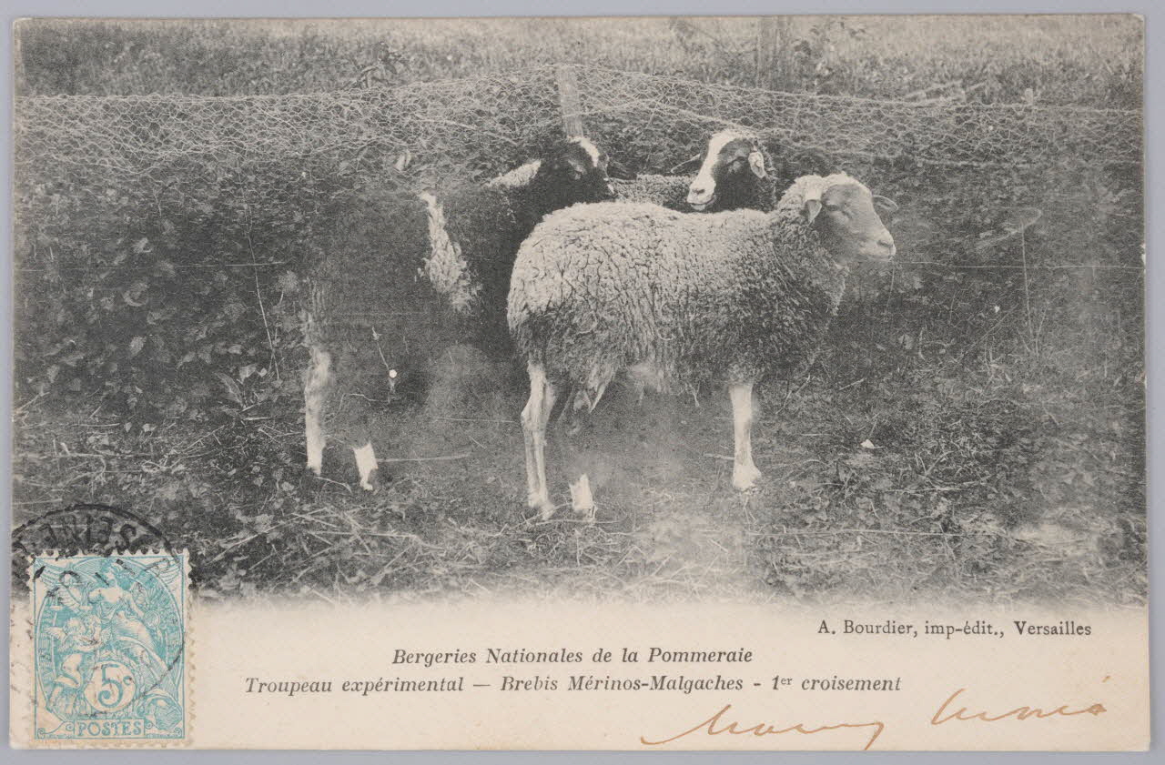 Album 36 Sou.B.606 Photo