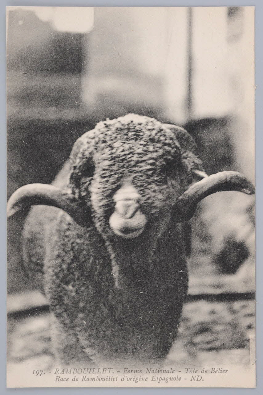 Album 36 Sou.B.608 Photo