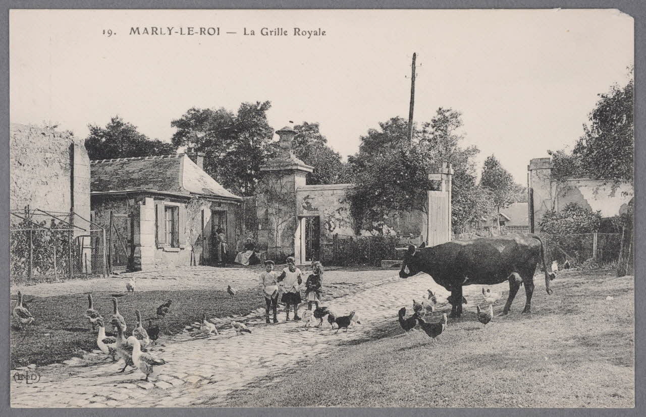 Album 36 Sou.B.635 Photo
