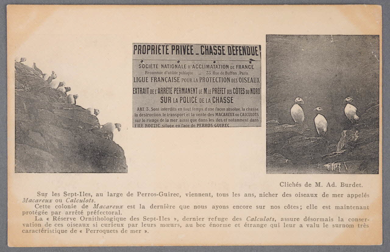 Album 36 Sou.B.640 Photo