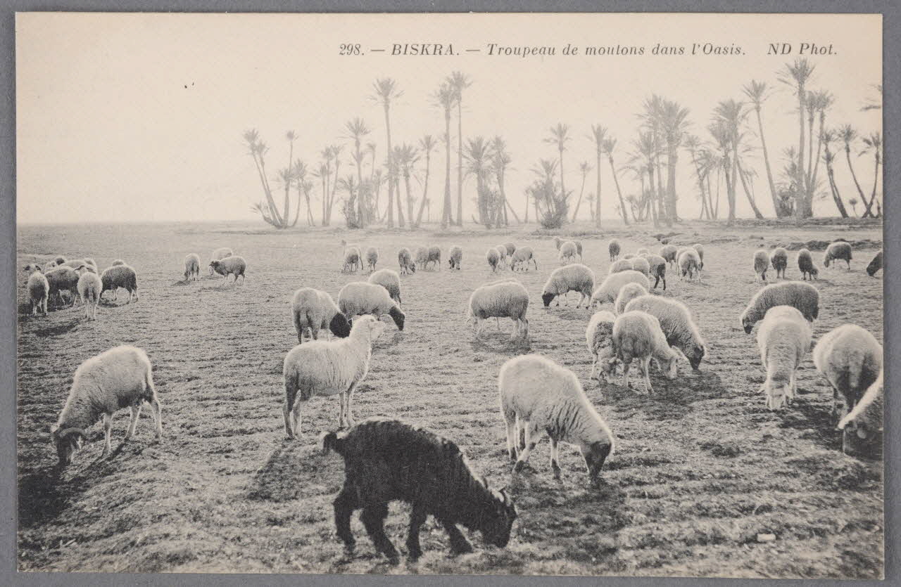 Album 36 Sou.B.650 Photo