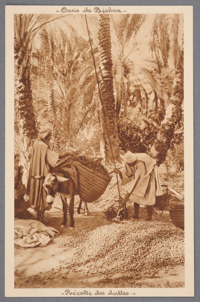 Album 36 Sou.B.651 Photo