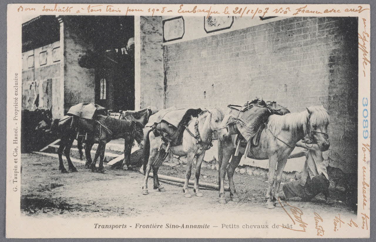 Album 36 Sou.B.697 Photo