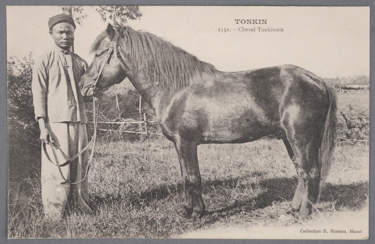 Album 36 Sou.B.698 Photo