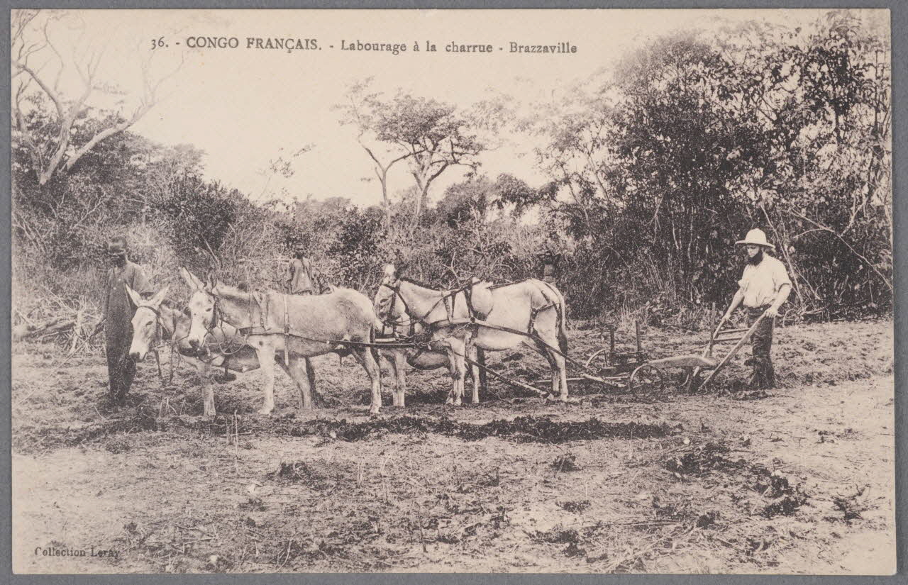 Album 36 Sou.B.701 Photo