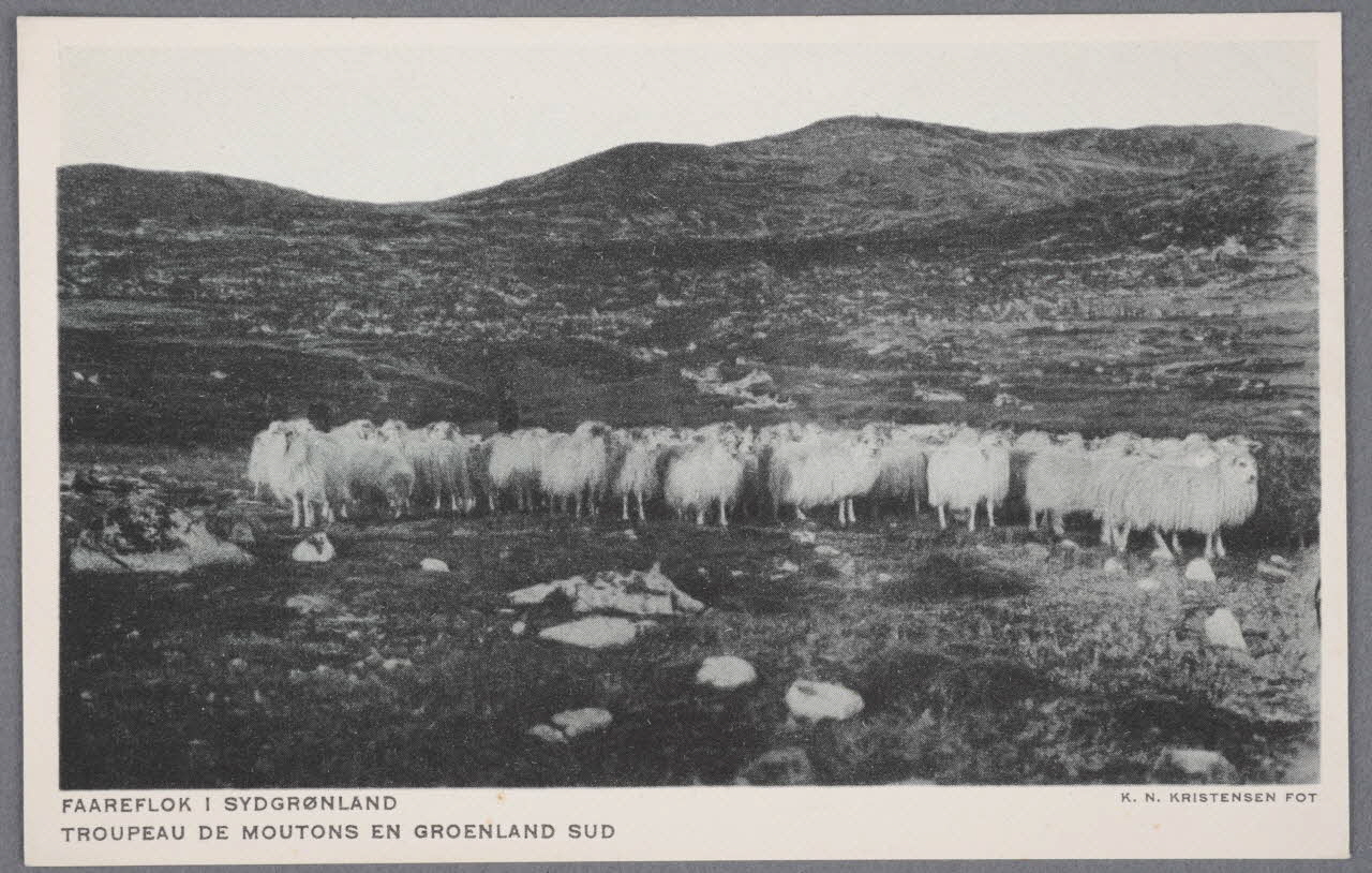 Album 36 Sou.B.705 Photo