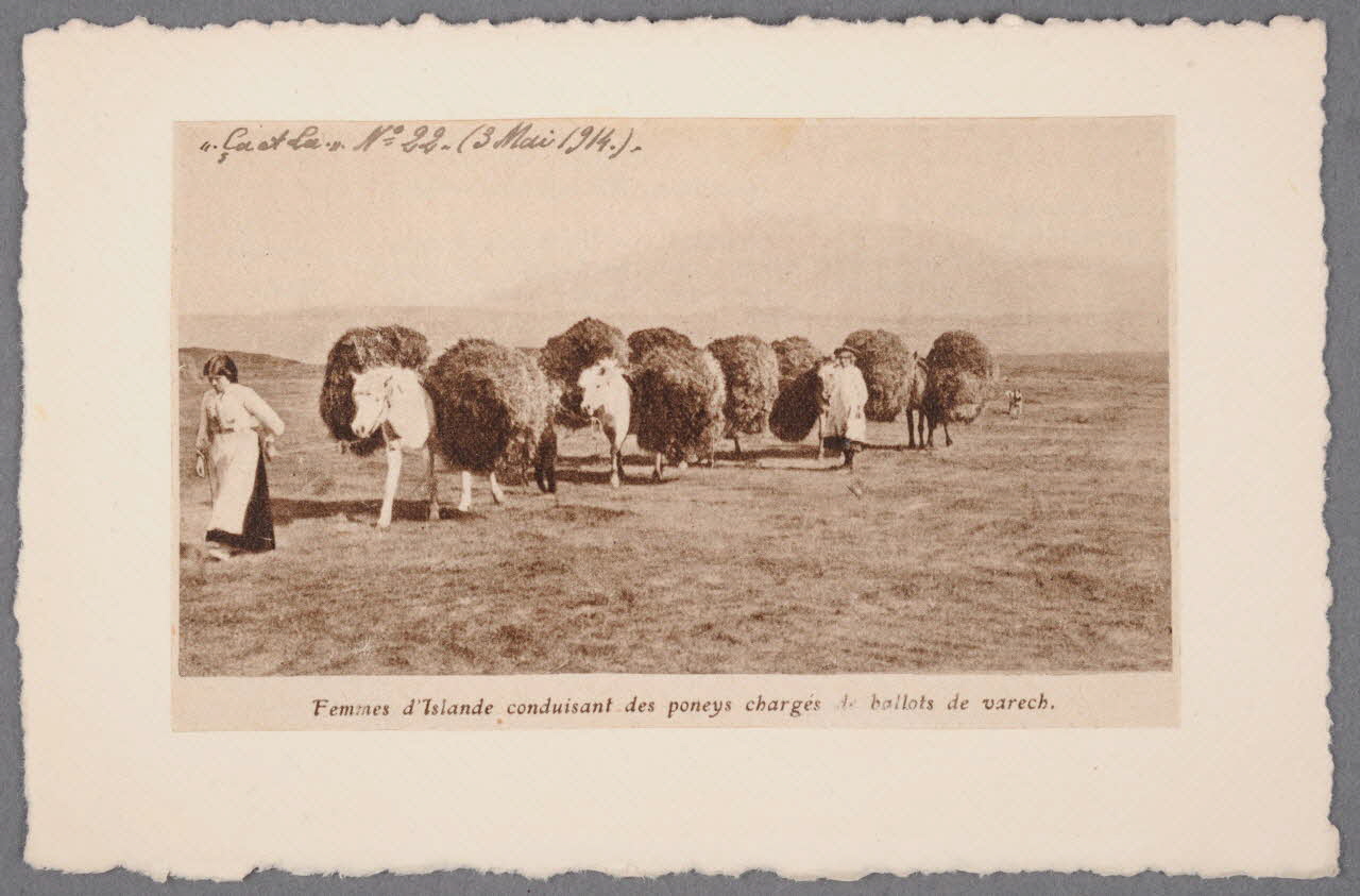 Album 36 Sou.B.708 Photo