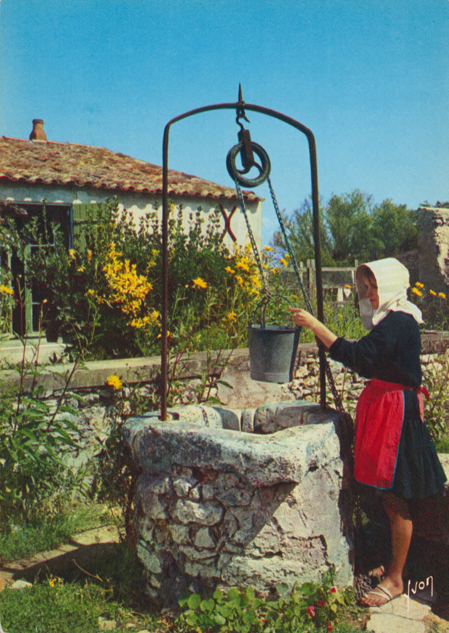 carte postale CHARENTE-MARITIME 1950 010159 Photo