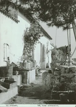 carte postale ILE D'OLERON-UNE FERME 1950 010160 Photo