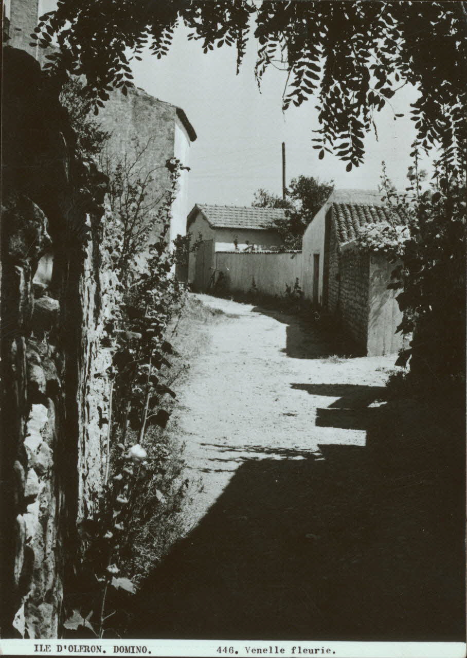 carte postale ILE D'OLERON-VENELLE FLEURIE 1950 010161 Photo