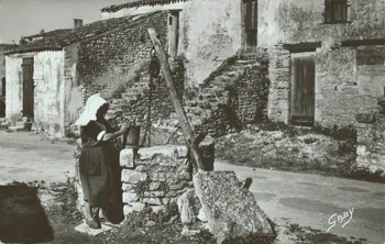 carte postale ILE D'OLERON 1950 010162 Photo