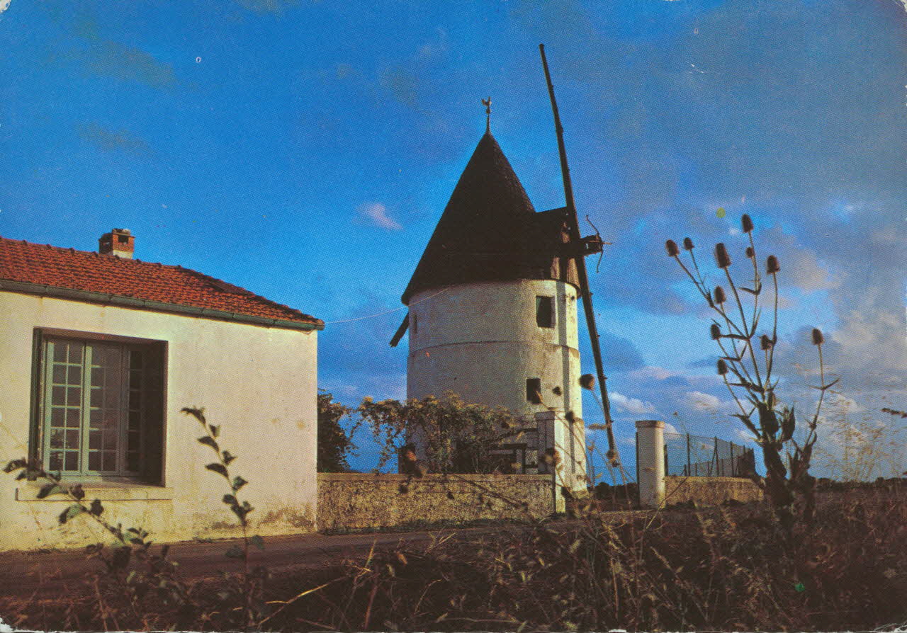 carte postale ILE D'OLERON LE MOULIN 1950 010165 Photo