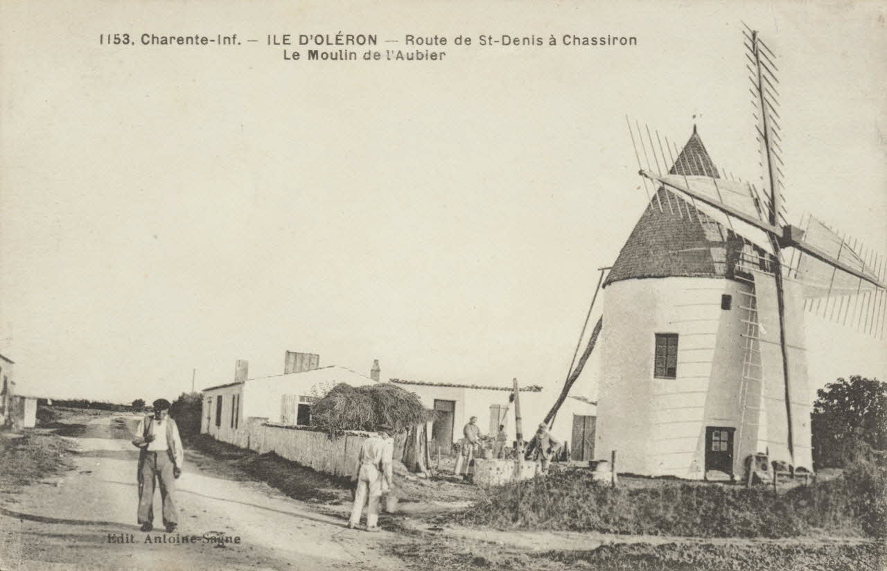 carte postale ILE D'OLERON-MOULIN DE L'AUBIER 1903-1950 010168 Photo