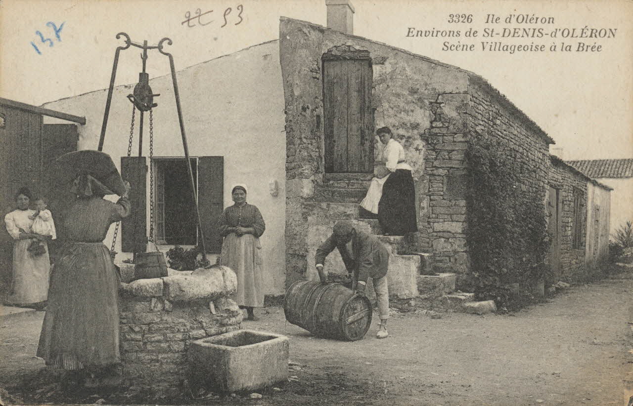 carte postale ILE D'OLERON 1903-1950 010172 Photo