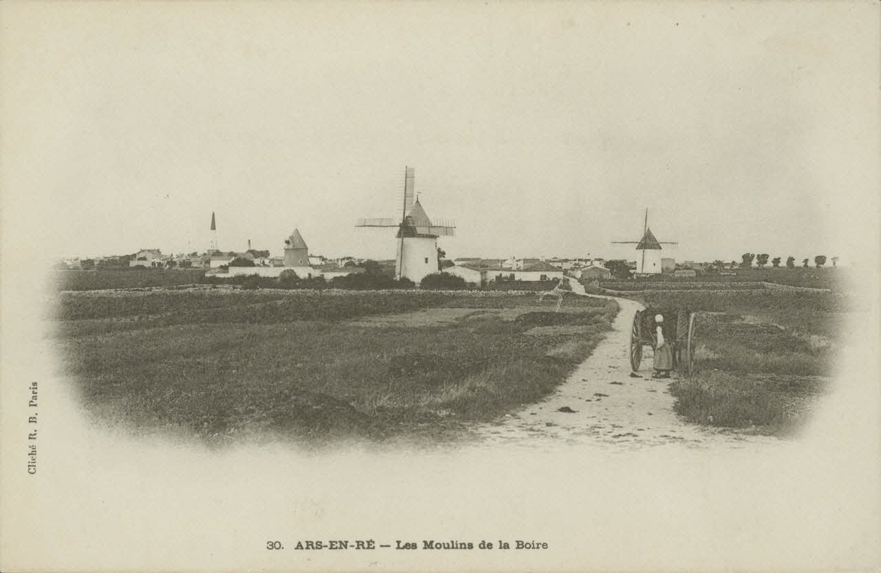 carte postale ARS EN RE-LES MOULINS DE LA BOIRE Charente-Maritime 1903 010178 Photo