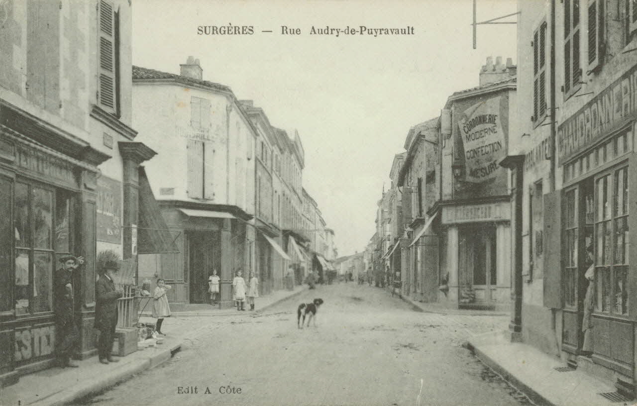 carte postale RUE AUDRY DE PUYRAVAULT Charente-Maritime 1903-1920 010245 Photo