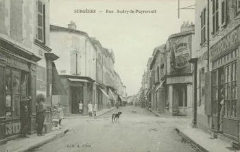 carte postale RUE AUDRY DE PUYRAVAULT Charente-Maritime 1903-1920 010245  Photo