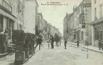 carte postale RUE AUDRY DE PUYRAVAULT Charente-Maritime 1917 010246  Photo
