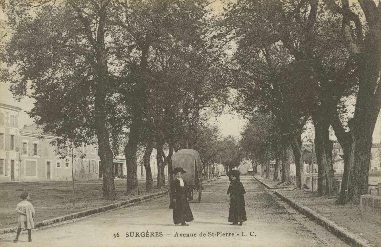 carte postale AVENUE DE SAINT-PIERRE Charente-Maritime 1917 010247 Photo