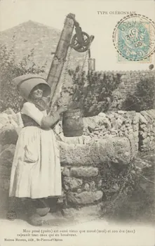 carte postale TYPE OLERONNAIS 1905 010260 Photo