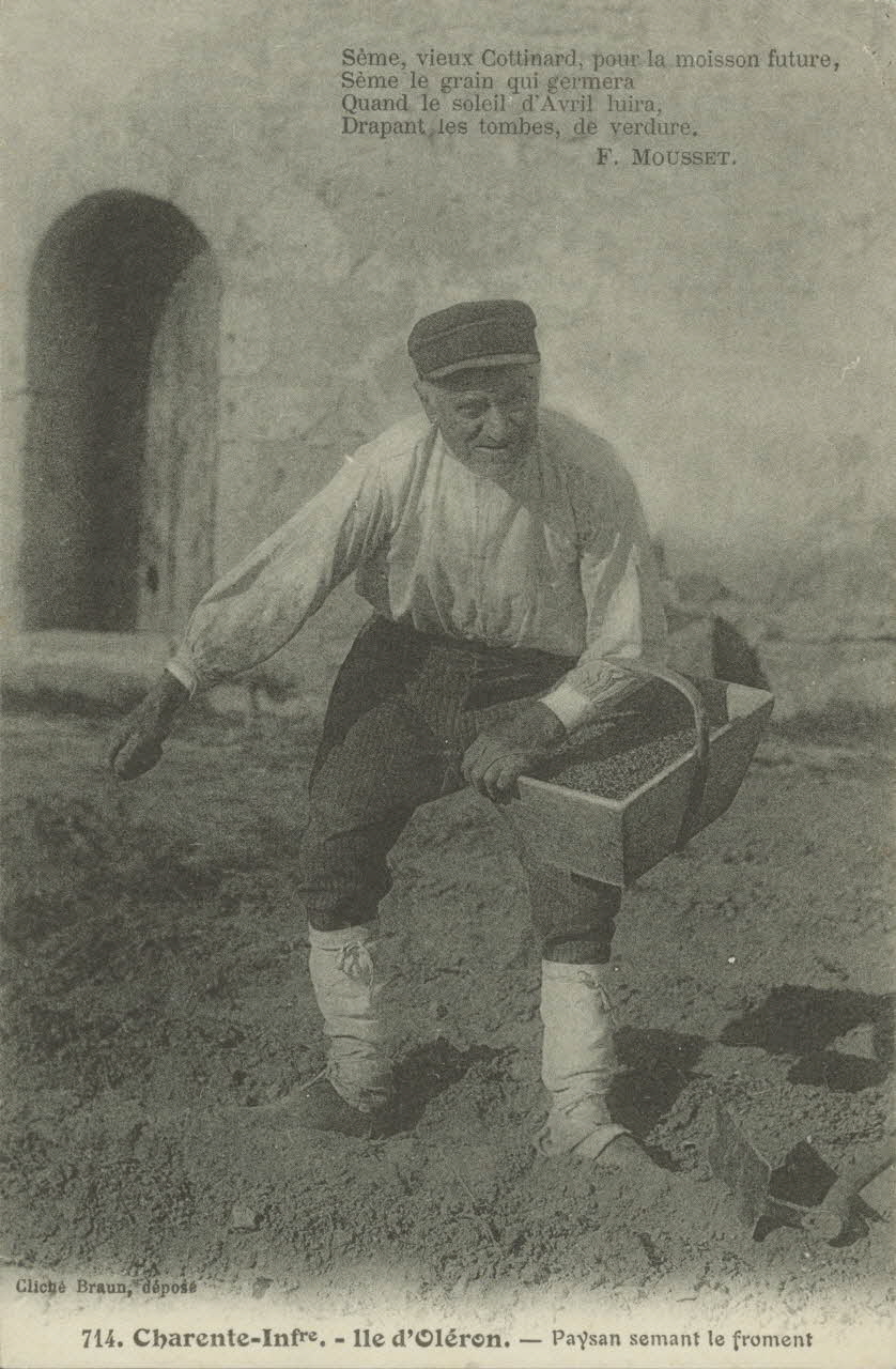 carte postale PAYSAN SEMANT LE FROMENT 1903-1920 010407 Photo