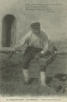 carte postale PAYSAN SEMANT LE FROMENT 1903-1920 010407 Photo
