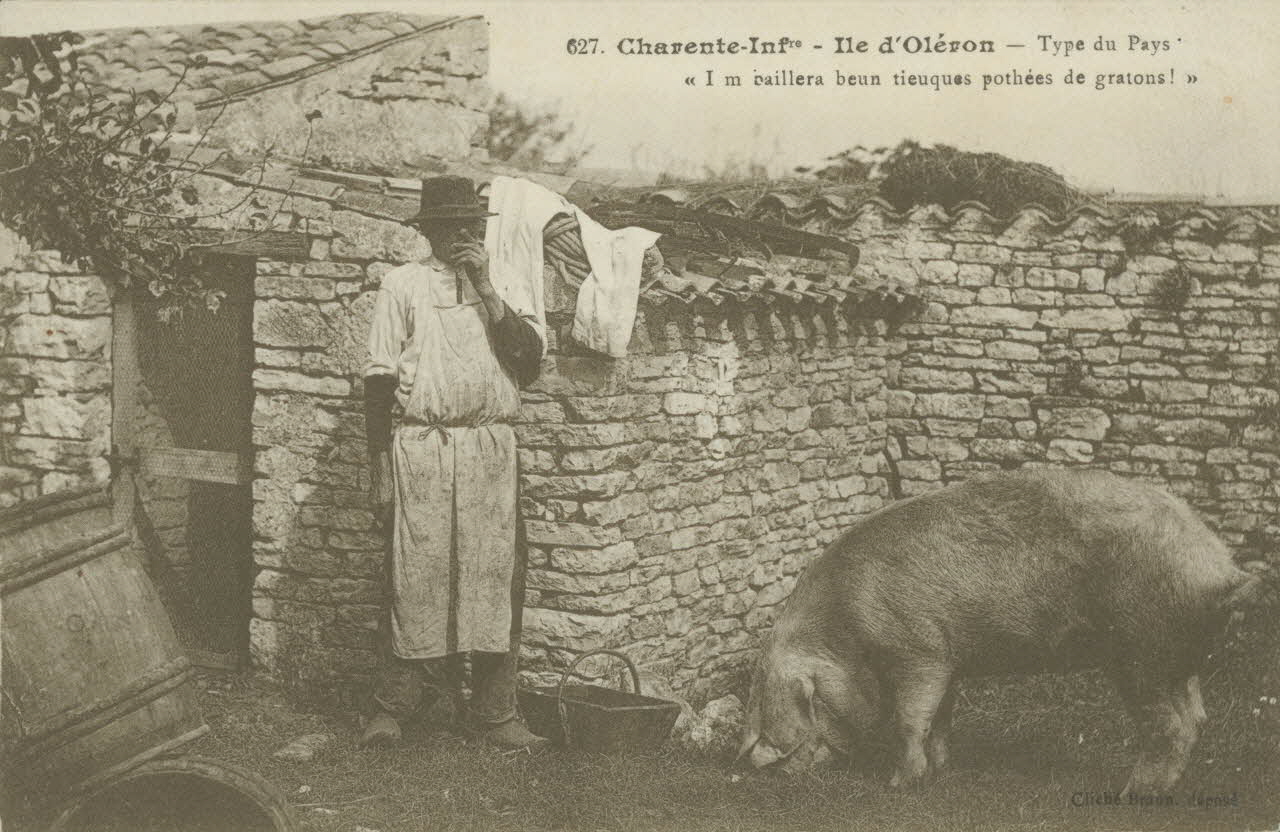 carte postale ILE D'OLERON. TYPE DU PAYS 1903-1920 010408 Photo