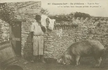 carte postale ILE D'OLERON. TYPE DU PAYS 1903-1920 010408 Photo