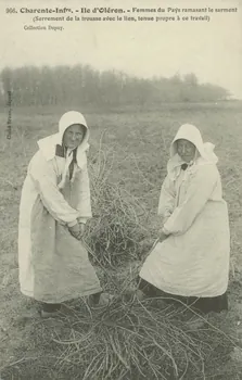 carte postale FEMMES RAMASSANT LE SARMANT 1903-1920 010409 Photo