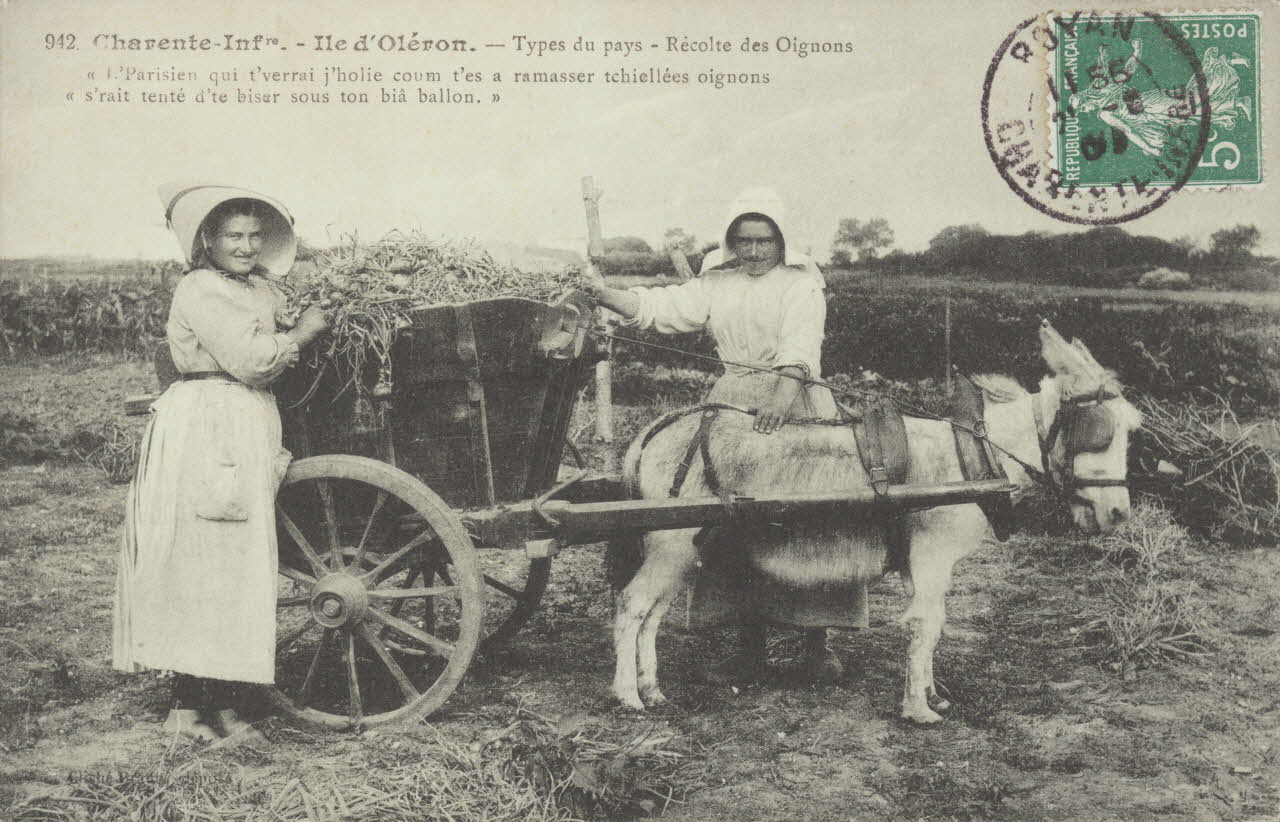 carte postale TYPES DU PAYS. RECOLTE DES OIGNONS 1903-1920 010411 Photo