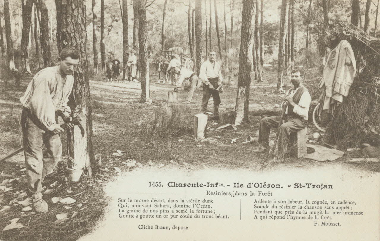 carte postale SAINT-TROJAN. RESINIERS DANS LA FORET Charente-Maritime 1903-1920 010417 Photo