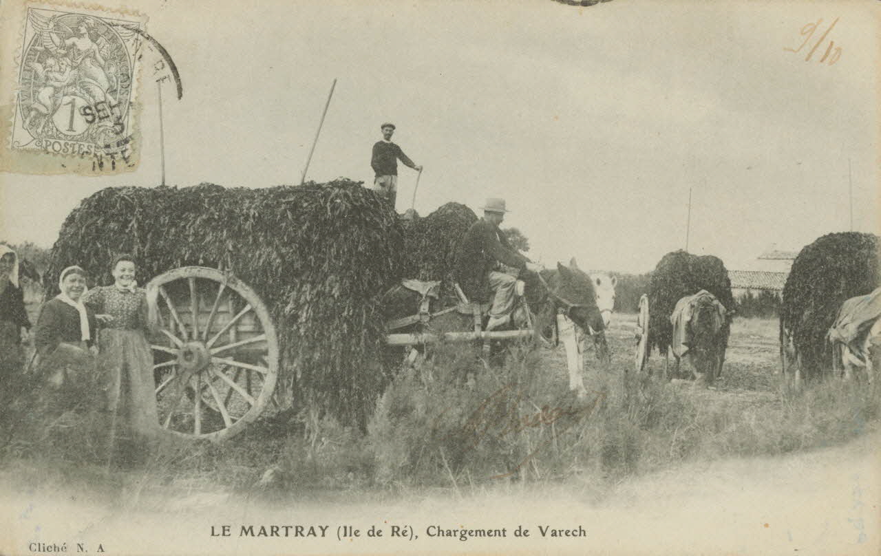carte postale LE MARTRAY. CHARGEMENT DE VARECH 1903 010421 Photo