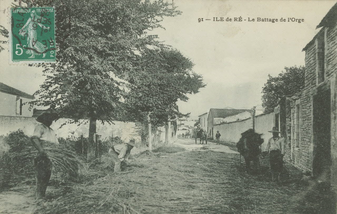 carte postale LE BATTAGE DE L'ORGE 1903-1920 010422 Photo
