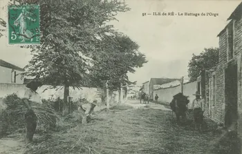 carte postale LE BATTAGE DE L'ORGE 1903-1920 010422 Photo