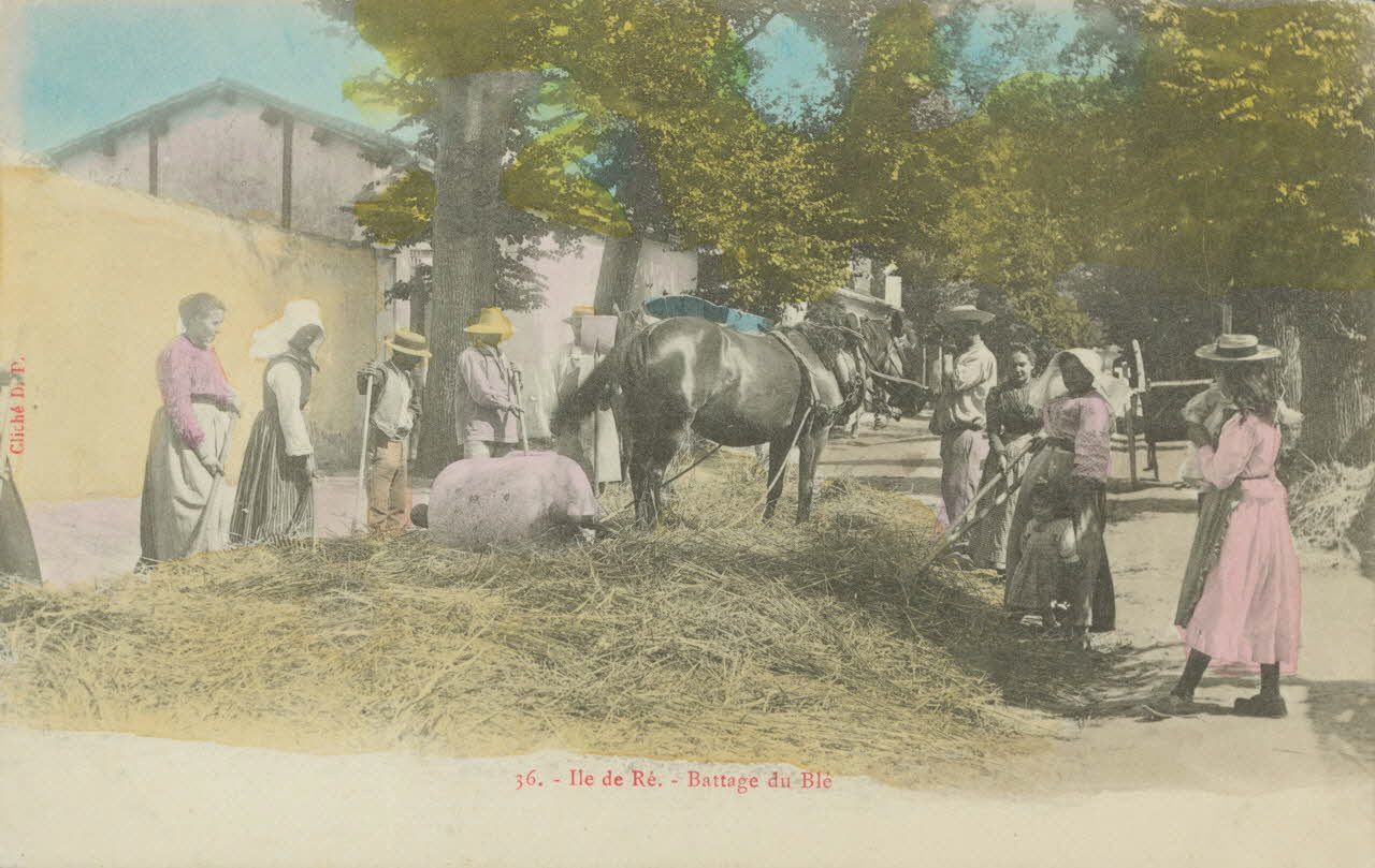 carte postale ILE DE RE. LE BATTAGE DU BLE 1903 010424 Photo