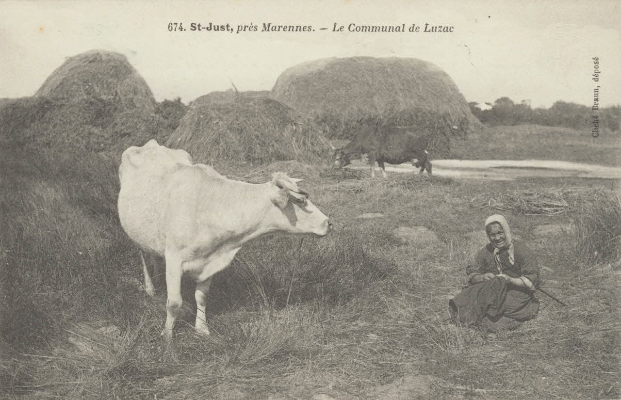 carte postale LE COMMUNAL DE LUZAC Charente-Maritime 1903-1920 010437  Photo