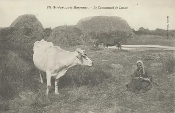 carte postale LE COMMUNAL DE LUZAC Charente-Maritime 1903-1920 010437 Photo