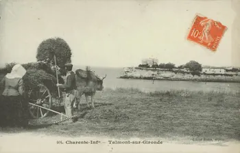 carte postale TALMONT-SUR-GIRONDE Charente-Maritime 1903-1920 010444 Photo