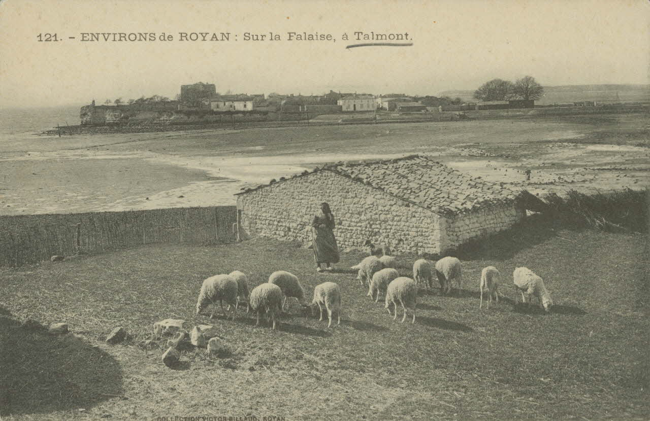 carte postale SUR LA FALAISE, A TALMONT Charente-Maritime 1903-1920 010445 Photo
